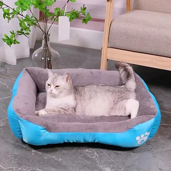 chat panier bleu optimal panelCats