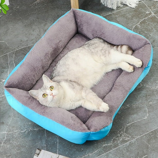 chat panier bleu panelCats