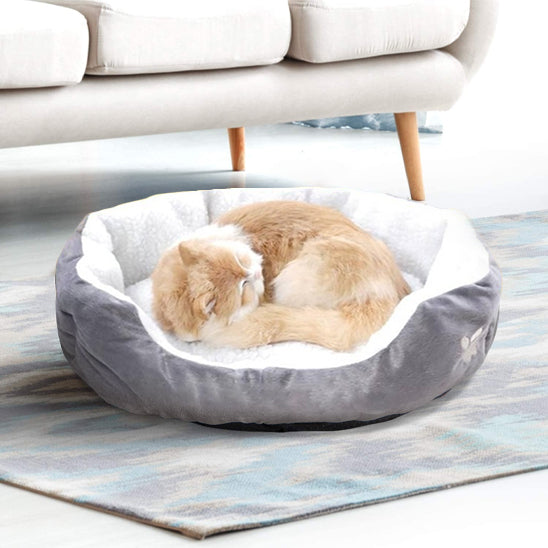 chat panier confortable panouacats