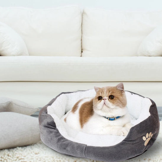 chat panier gris confort panouacats