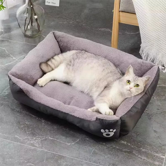 chat panier gris panelCats