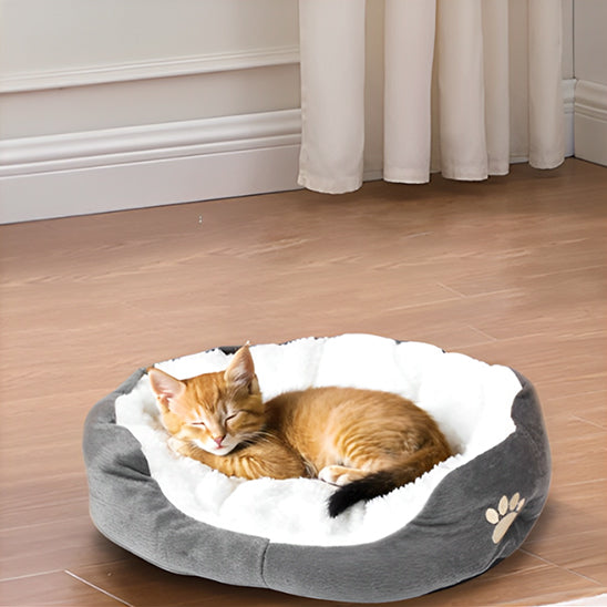 chat panier moelleux gris panouacats