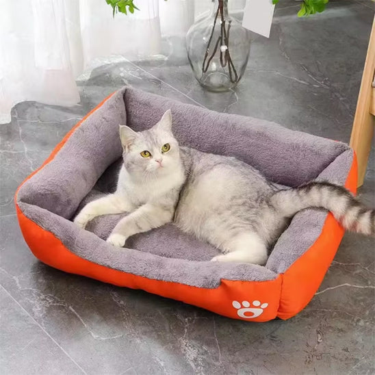 chat panier orange panelCats