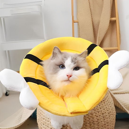 Collerette Chat | AbeicoCatsâą - L'avenir des chats