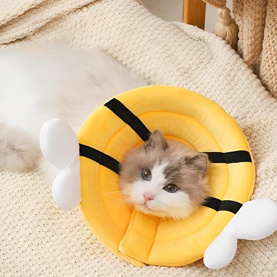 Collerette Chat | AbeicoCatsâą - L'avenir des chats