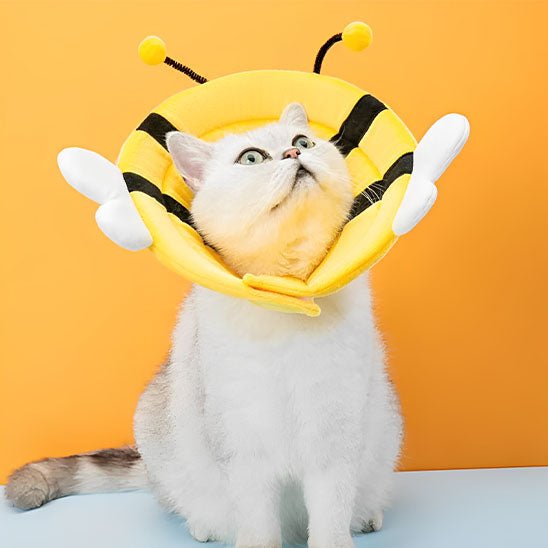 Collerette Chat | AbeicoCatsâą - L'avenir des chats