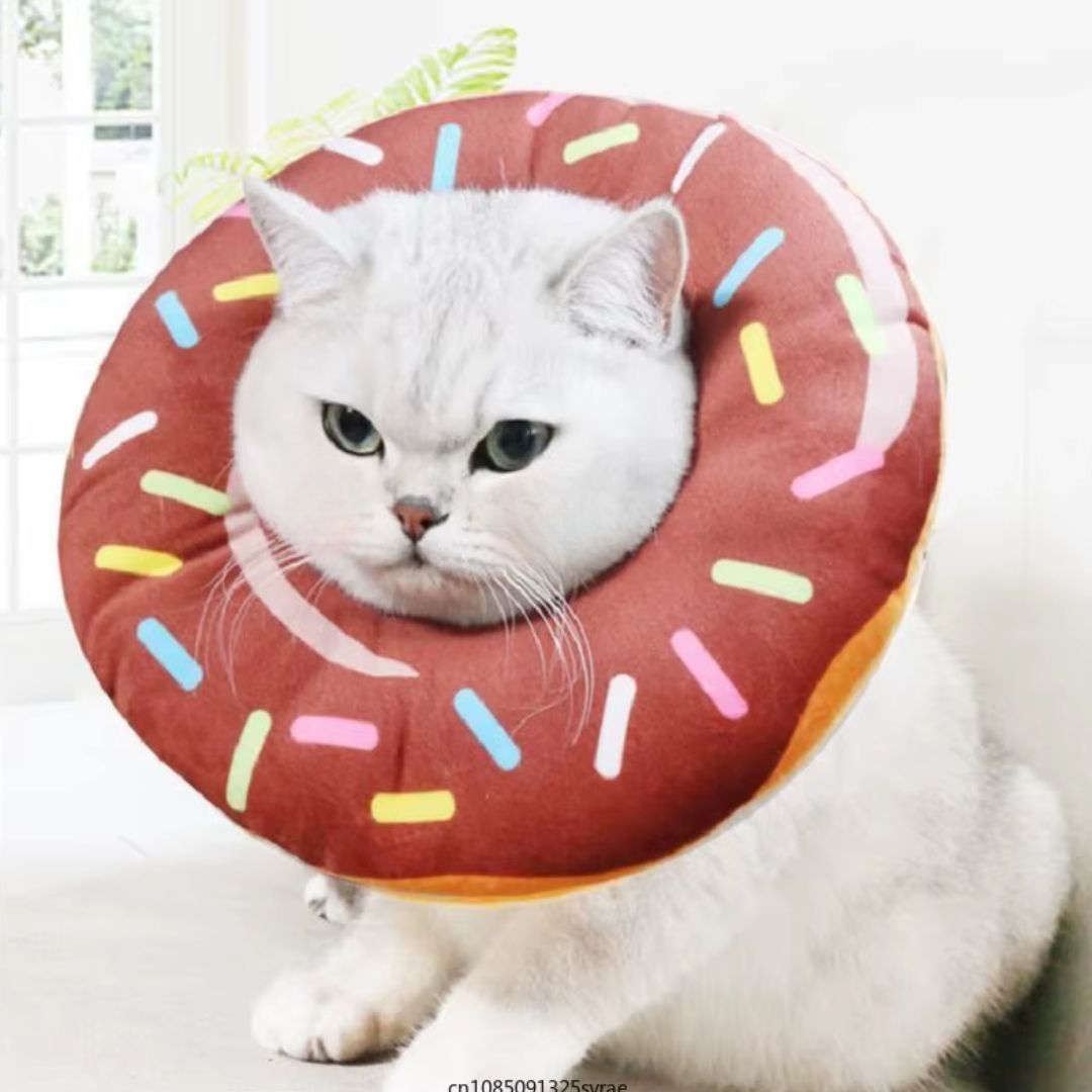 Collerette chat | DonucolCatsâą - L'avenir des chats