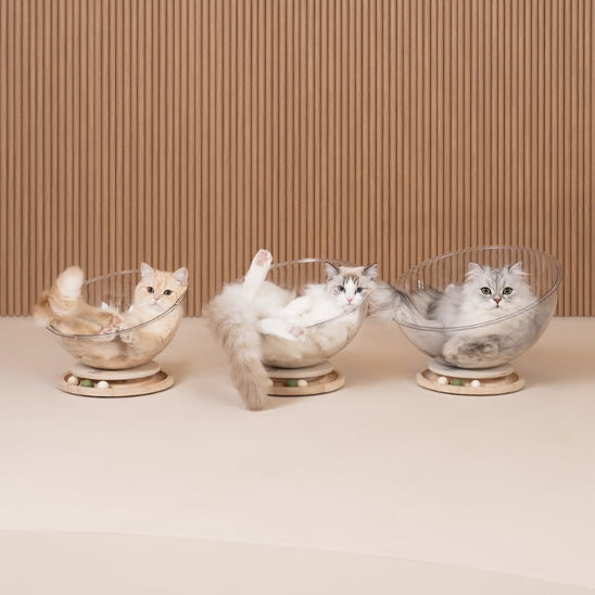 coussin à chat en forme de capsule transparente 360 degrés avec trois chats blanc qui sont en train de se reposer confortablement