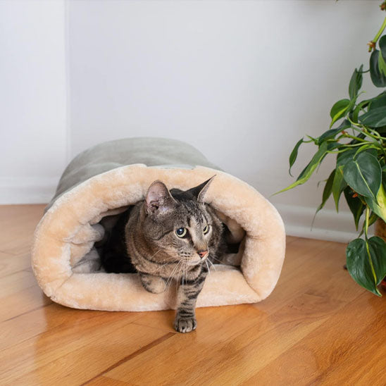 coussin a chat optimal