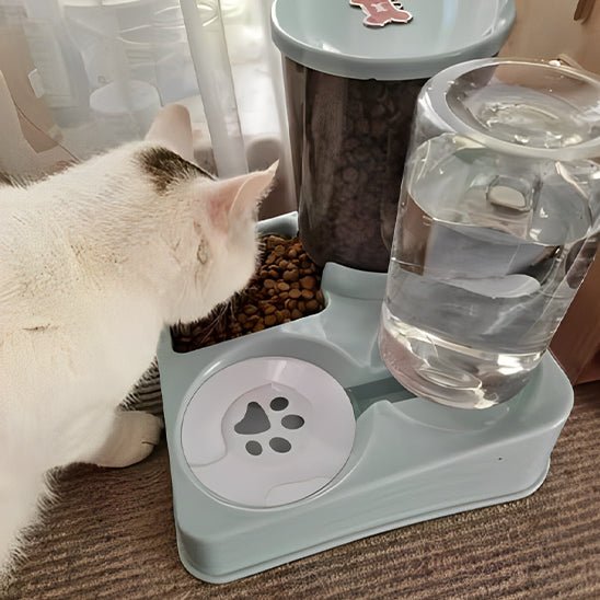Distributeur de croquettes pour chat | DotroCatsâą - L'avenir des chats