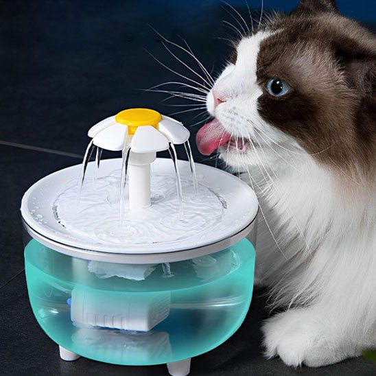 Fontaine a eau chat | FontauCats - L'avenir des chats