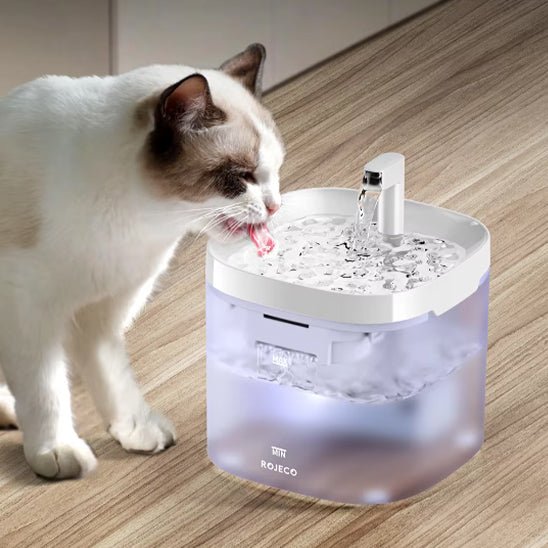Fontaine a eau chat | FotraCats™ - L'avenir des chats