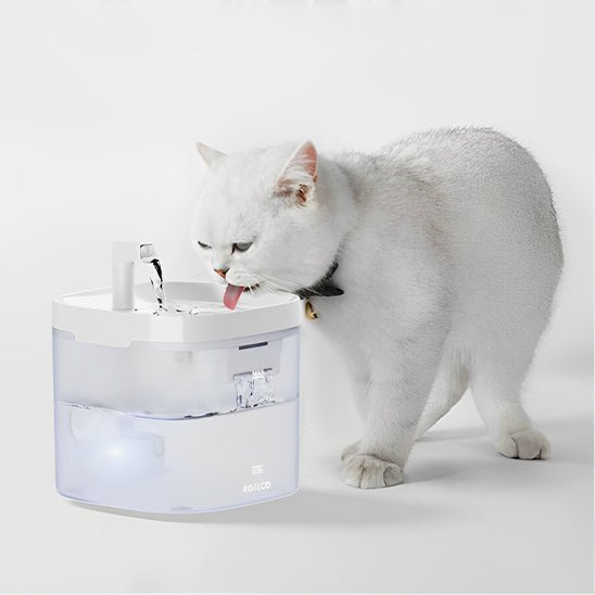 Fontaine a eau chat | FotraCats™ - L'avenir des chats