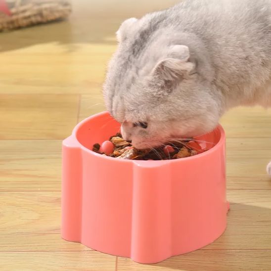 Gamelle anti glouton chat | LongouCatsâą - L'avenir des chats