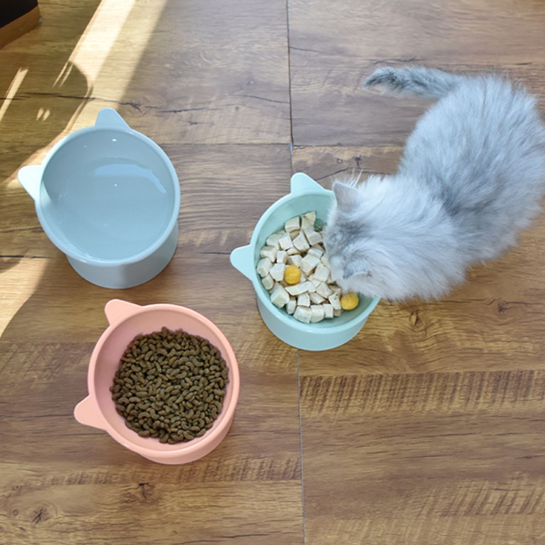 Gamelle Chat | GameCatsâą - L'avenir des chats