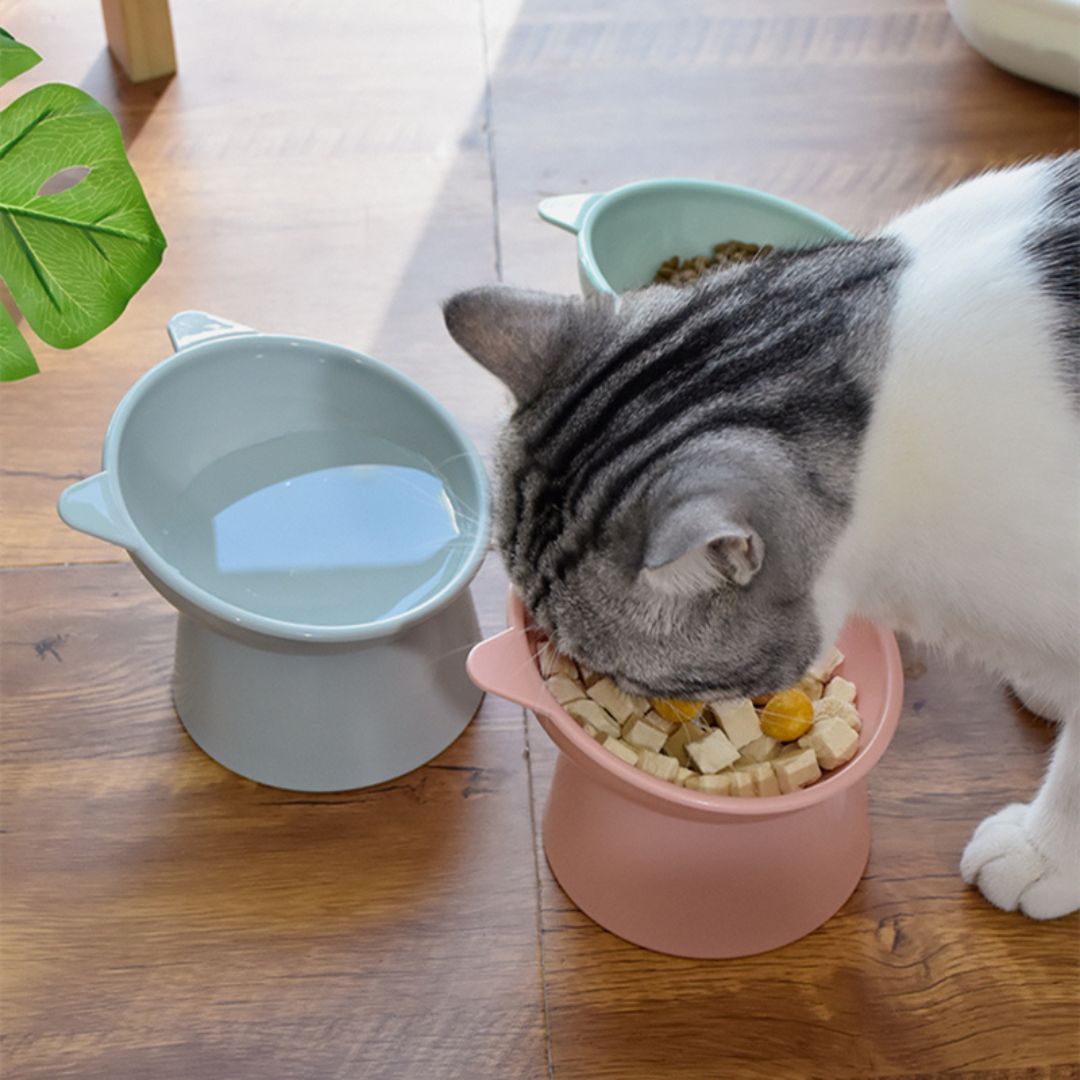 Gamelle Chat | GameCatsâą - L'avenir des chats