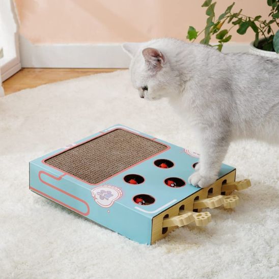 griffoir chat bleu ecologique
