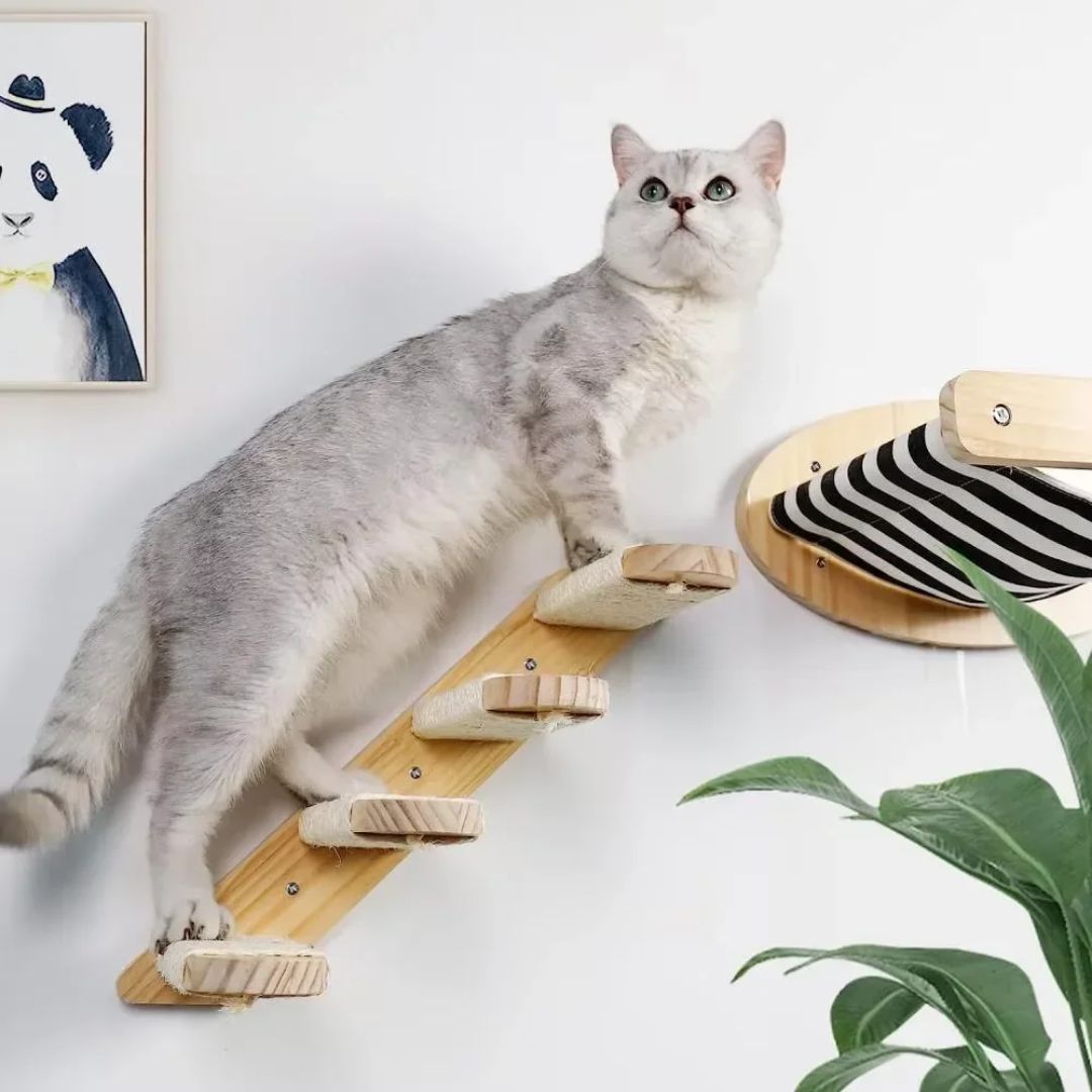 hamac chat douillet holicats