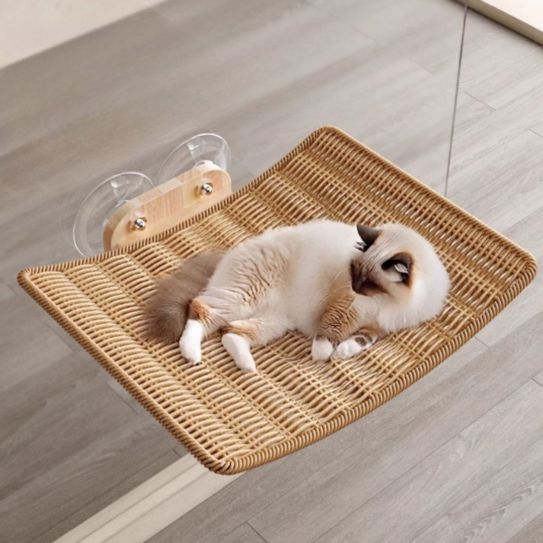 hamac pour chat beige hasiercats