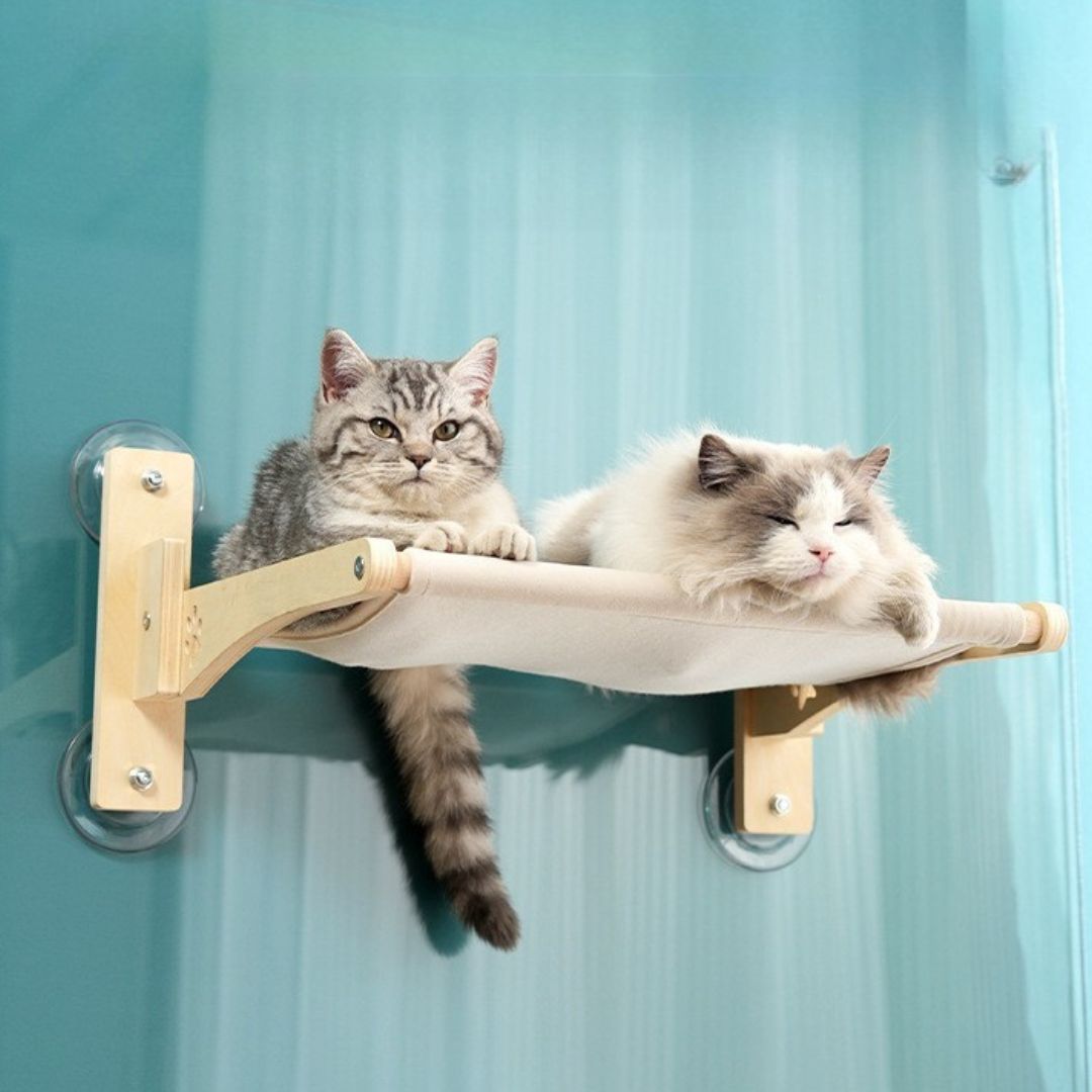 hamac pour chat moelleux harecats