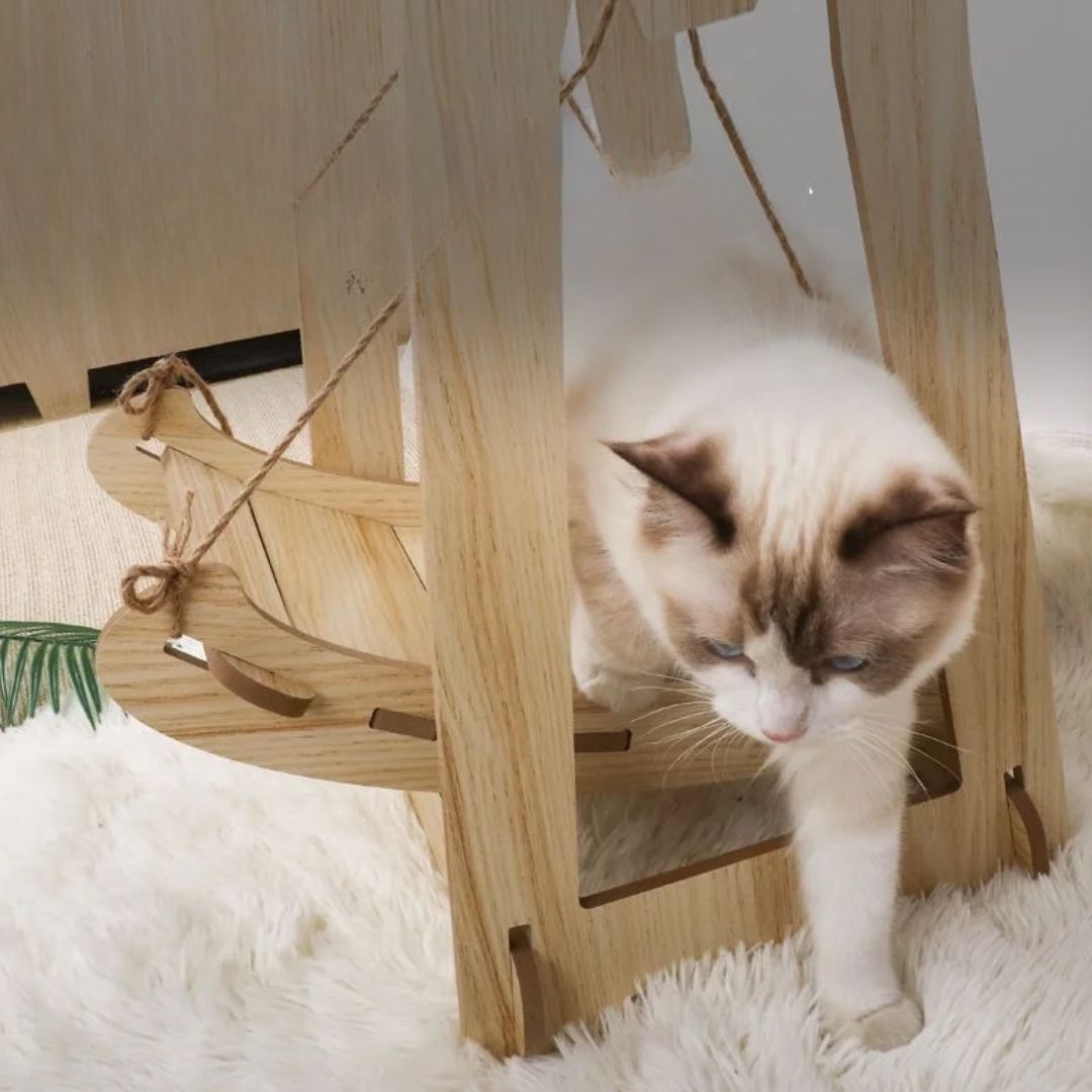 hamac pour chat optimal halancats