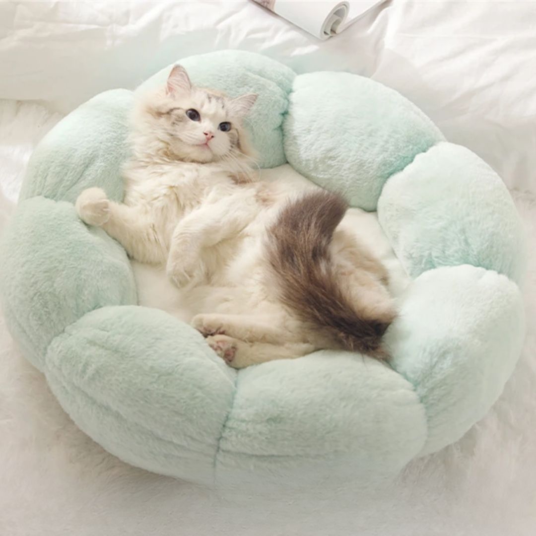 lit pour chat en forme de fleur vert avec un chat qui se repose