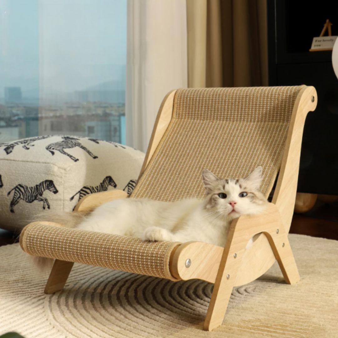 panier chat osier chaise confortable posofacats