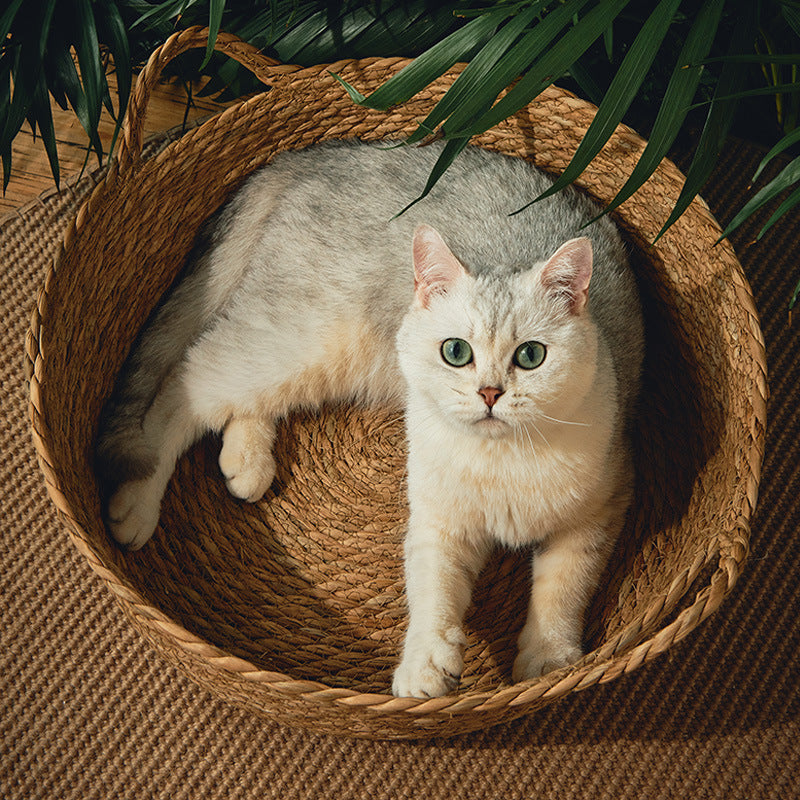 panier chat osier douillet podisiercats