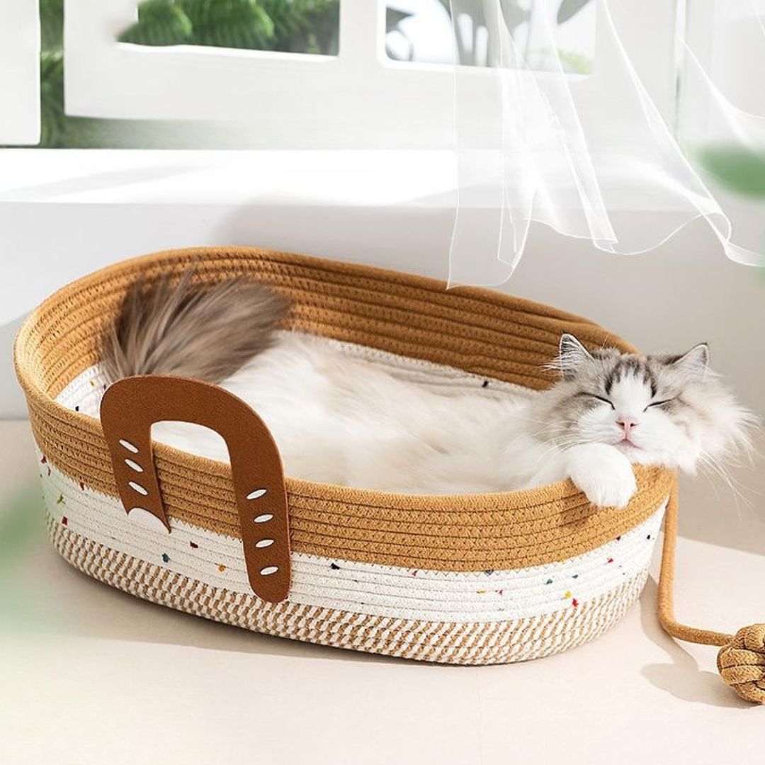 panier chat osier marron balle potiovalcats