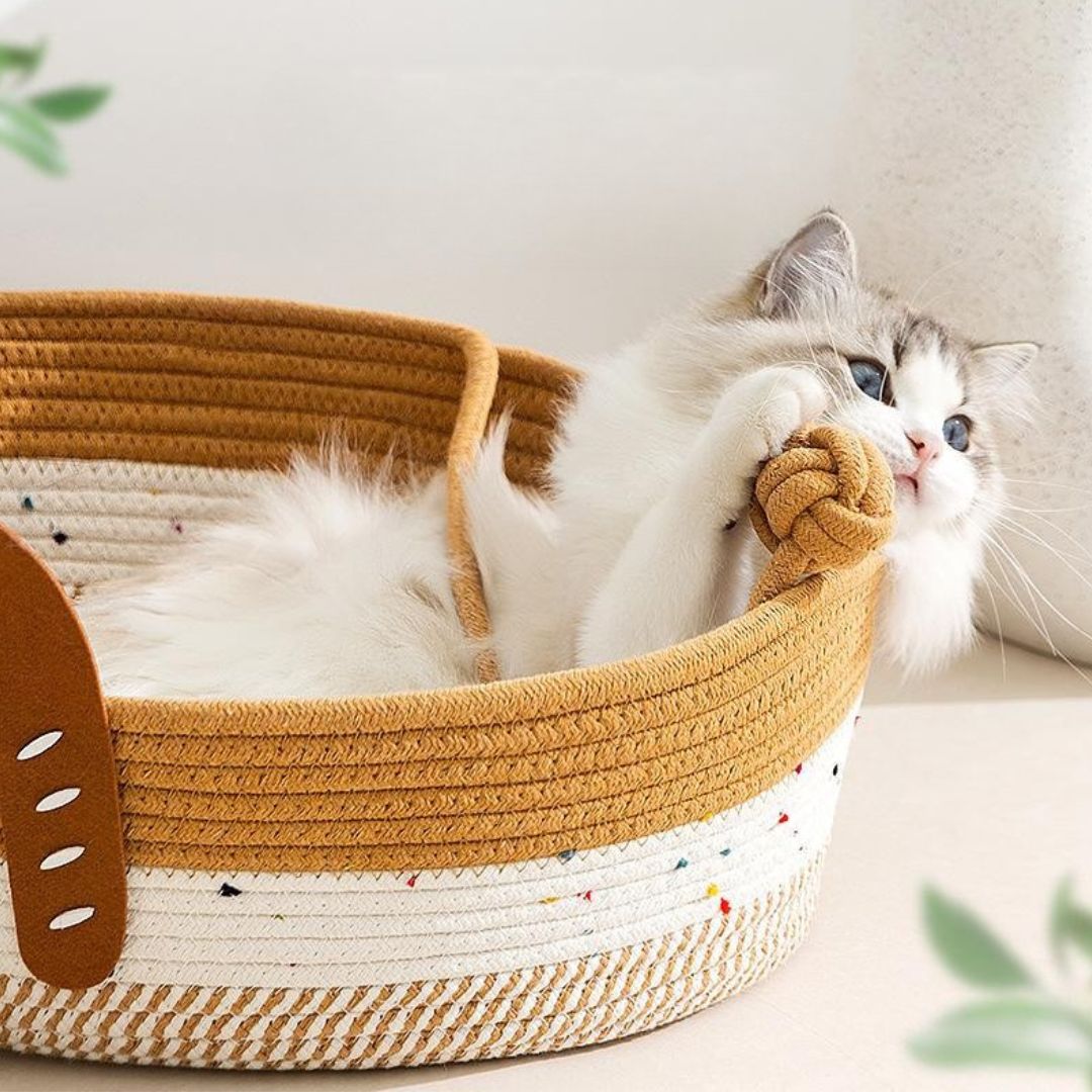 panier chat osier marron tissage potiovalcats