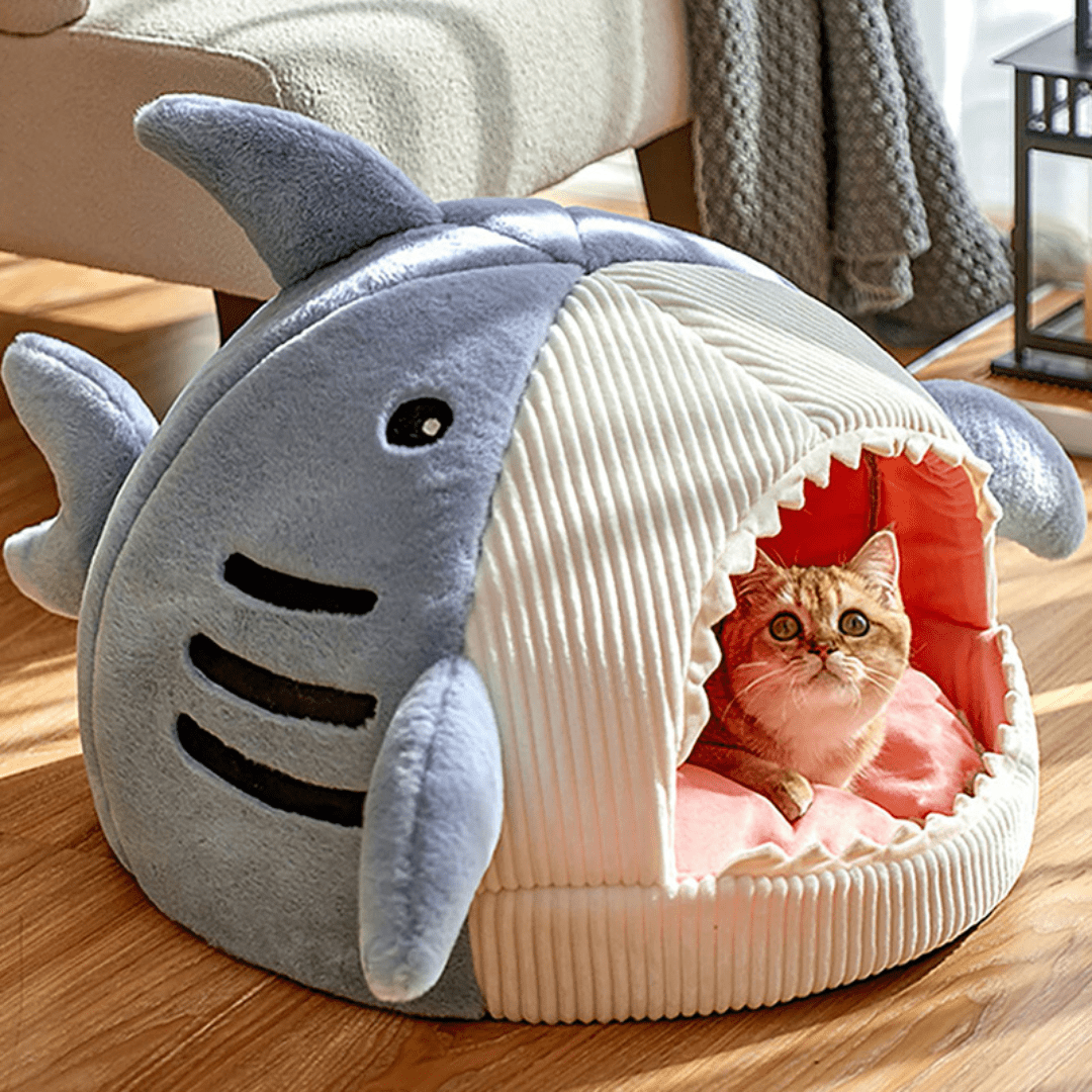 panier chat requin bleu optimal