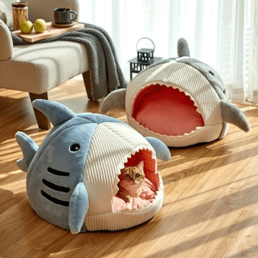 panier chat requin gris bleu