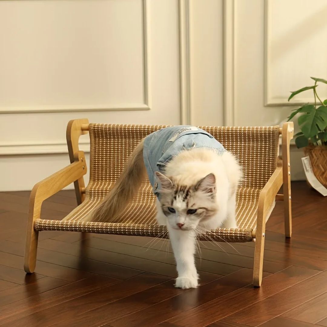 panier en osier pour chat bois posiercats