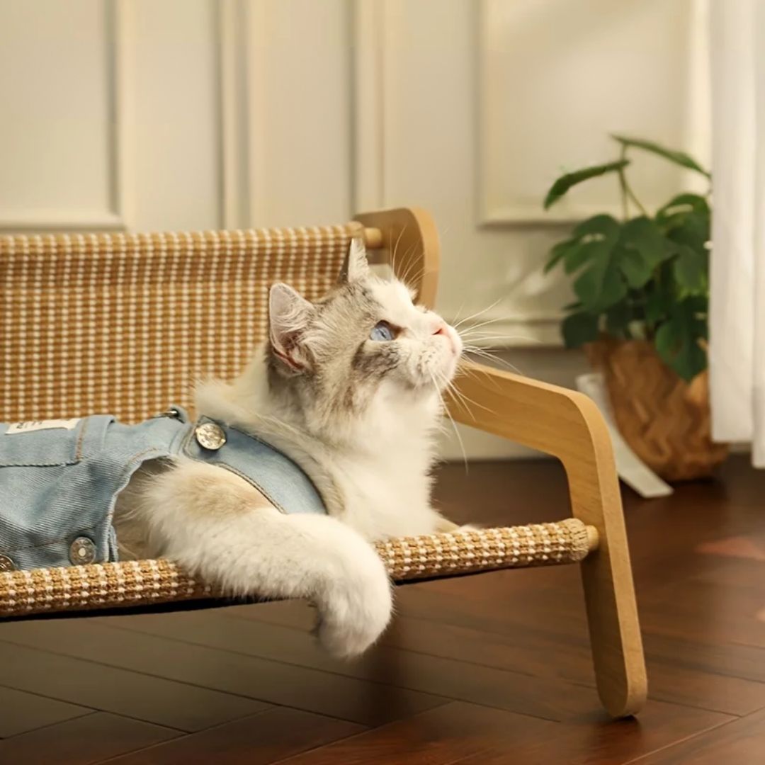 panier en osier pour chat confort posiercats