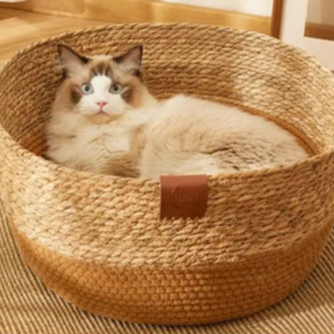panier en osier pour chat rotin poticats