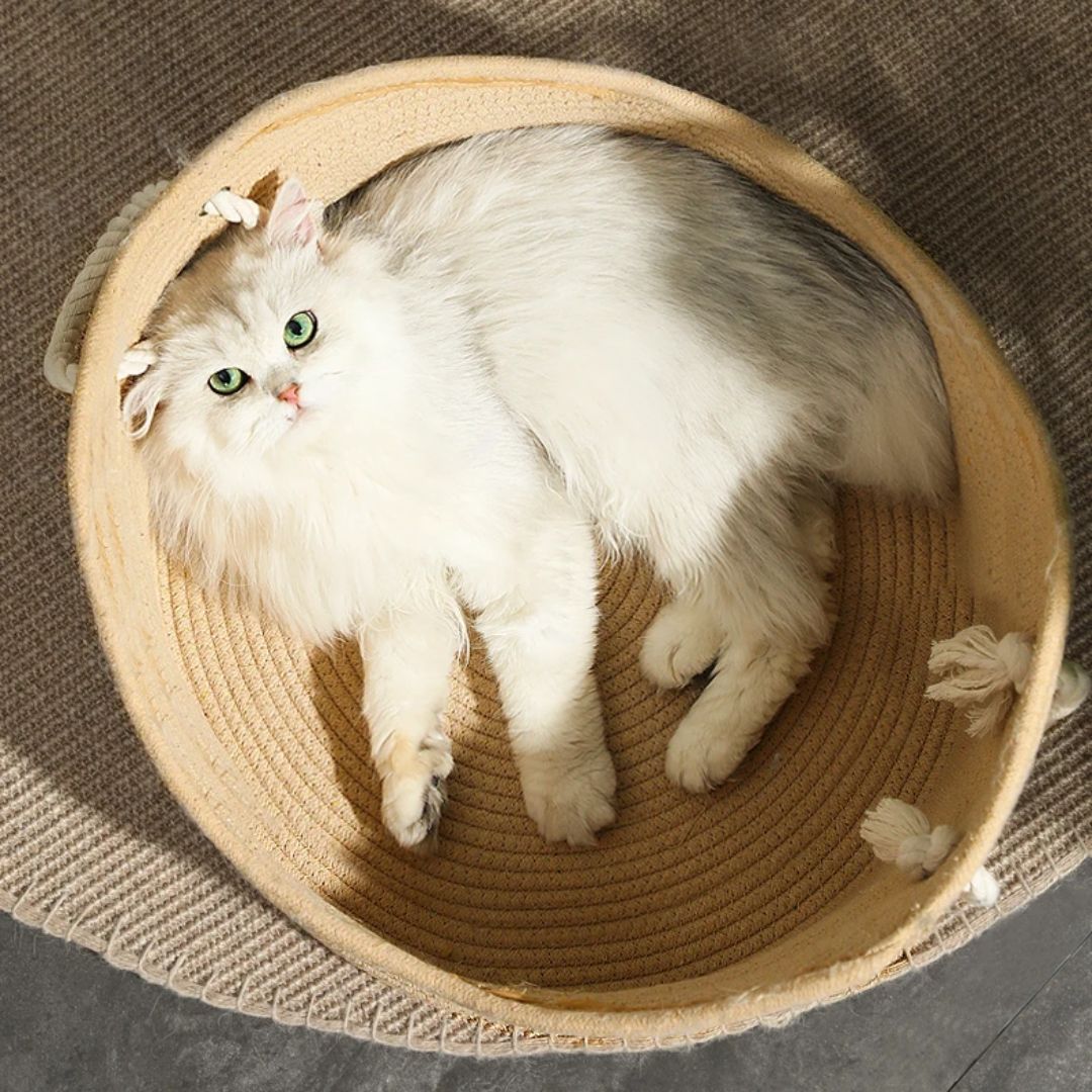 panier osier chat rotin paniolcats