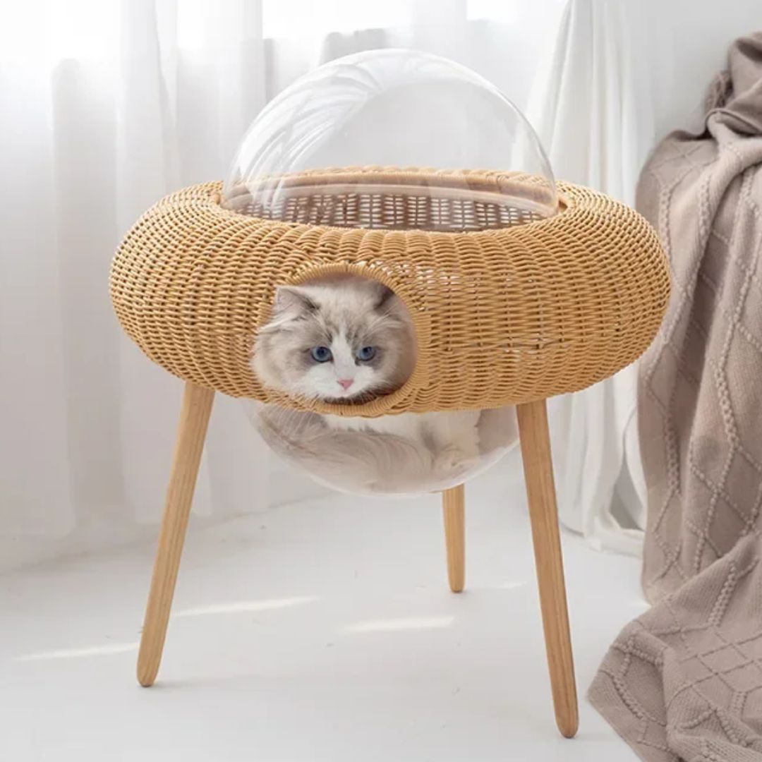 panier osier pour chat beige pocoupcats