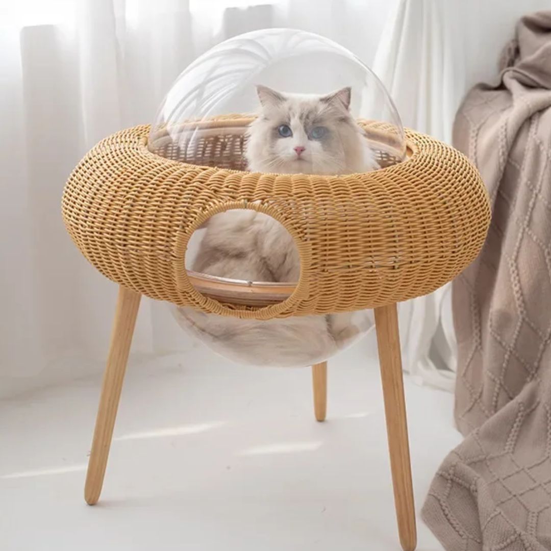 panier osier pour chat confort pocoupcats