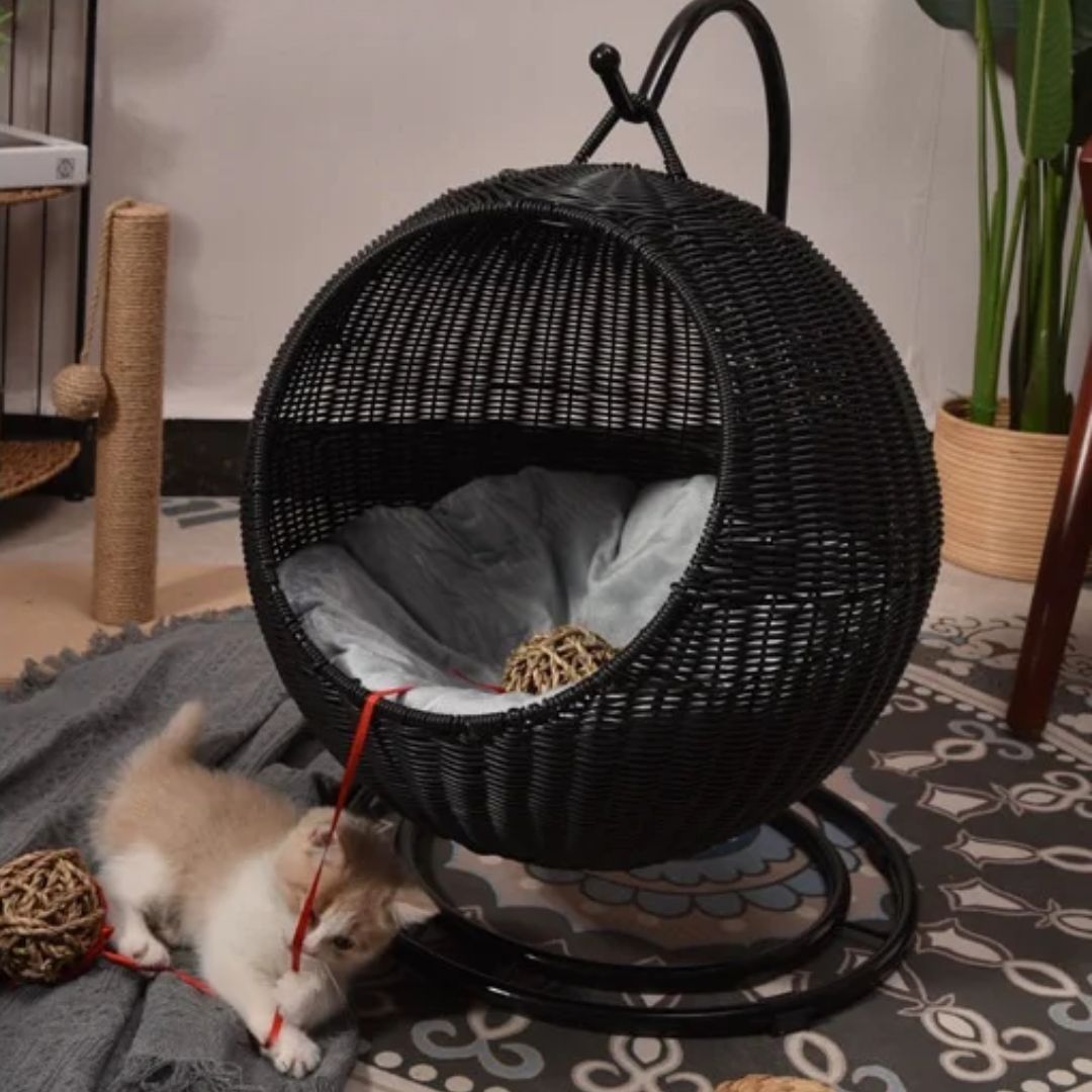 panier osier pour chat suspendu pouroncats