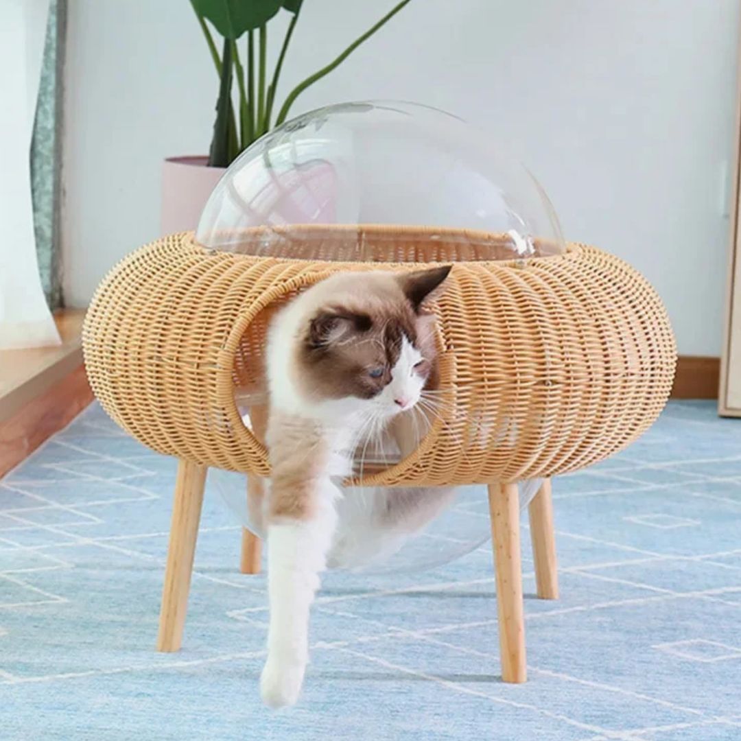 panier osier pour chat vitre pocoupcats