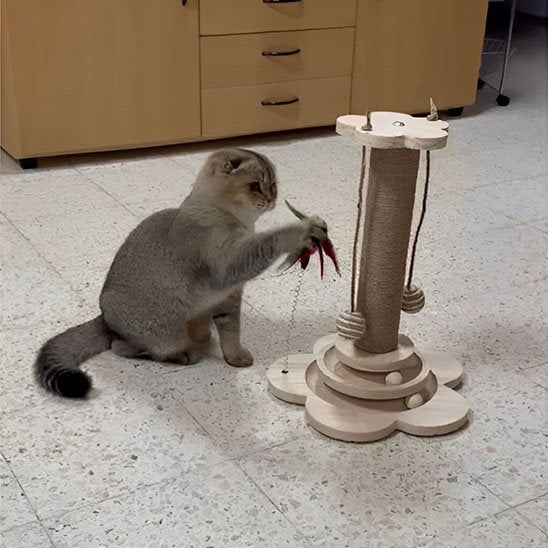 arbre-a-chat-en-bois-jouet-abillecats