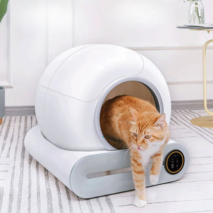 Bac à litière chat | AutoCats™ - L'avenir des chats