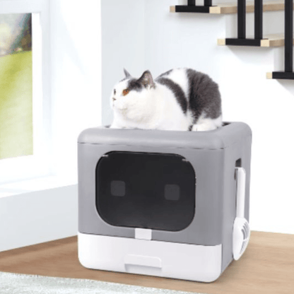 Bac à litière chat | BaliCats™ - L'avenir des chats