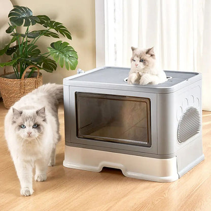Bac à litière chat | RanliCats™ - L'avenir des chats