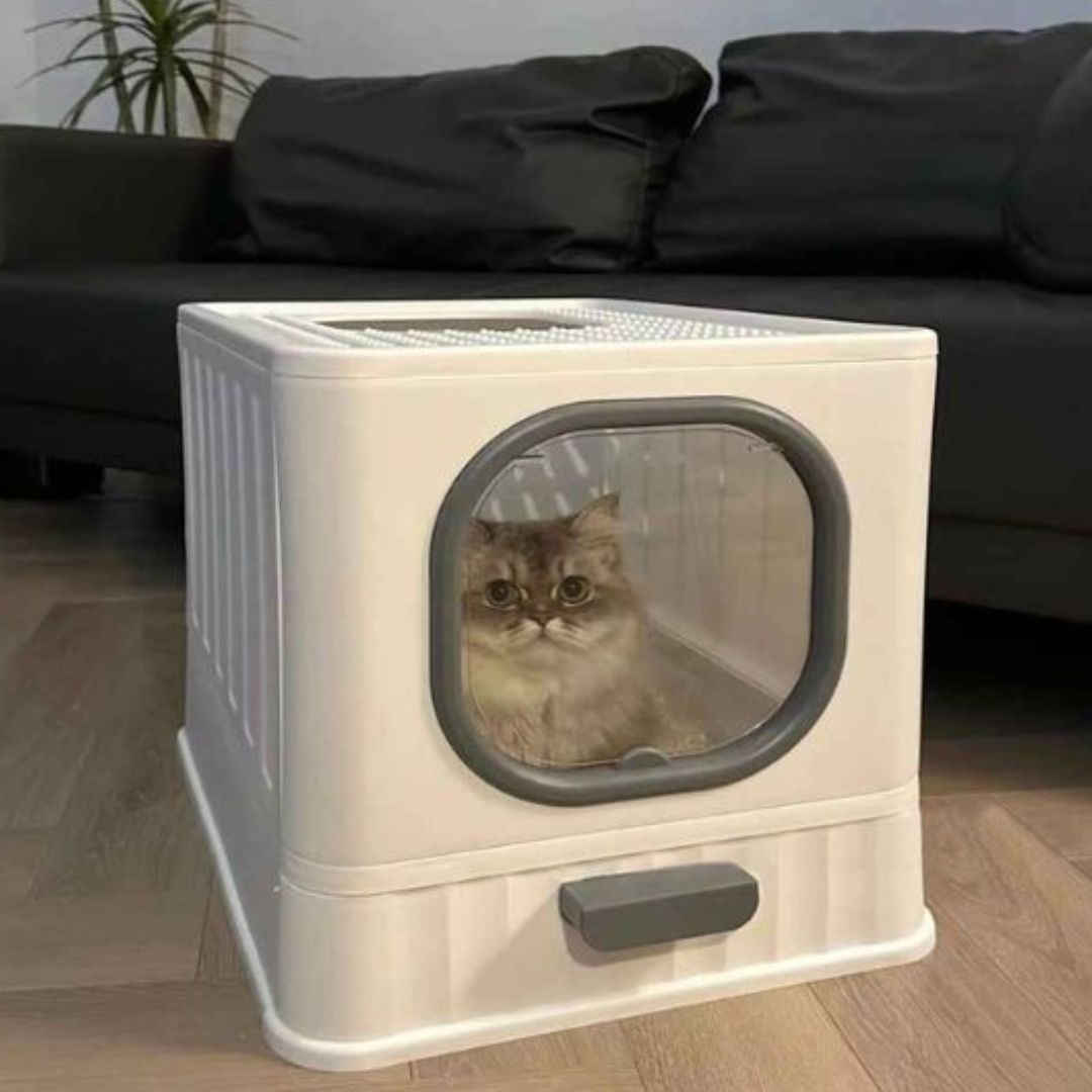 Bac à litière chat | TitouCats™ - L'avenir des chats