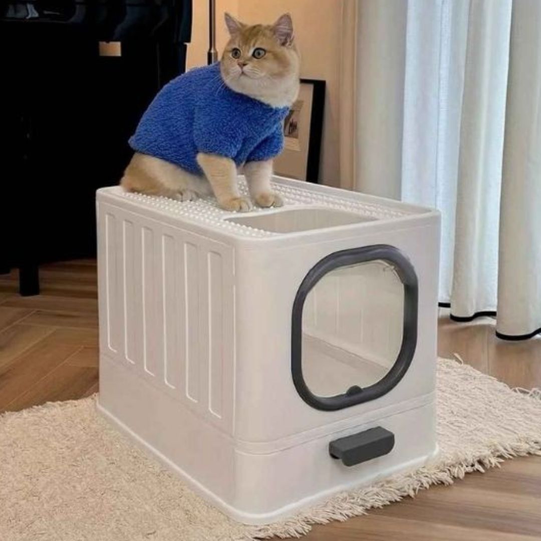 Bac à litière chat | TitouCats™ - L'avenir des chats