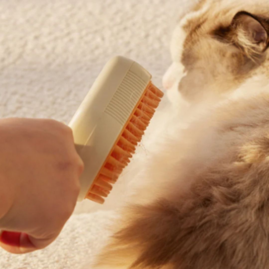 Brosse à chat | PulviCats™ - L'avenir des chats