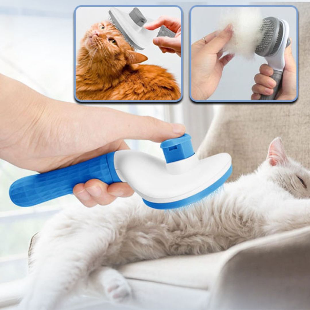 Brosse Chat | BounouCats™ - L'avenir des chats