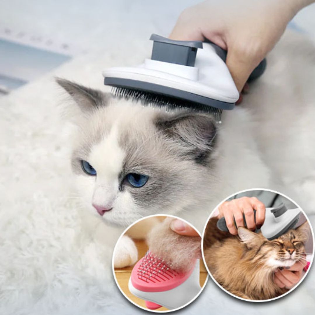 Brosse Chat | BounouCats™ - L'avenir des chats