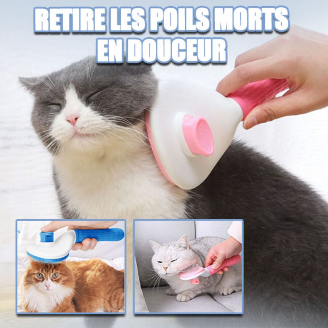 Brosse Chat | BounouCats™ - L'avenir des chats